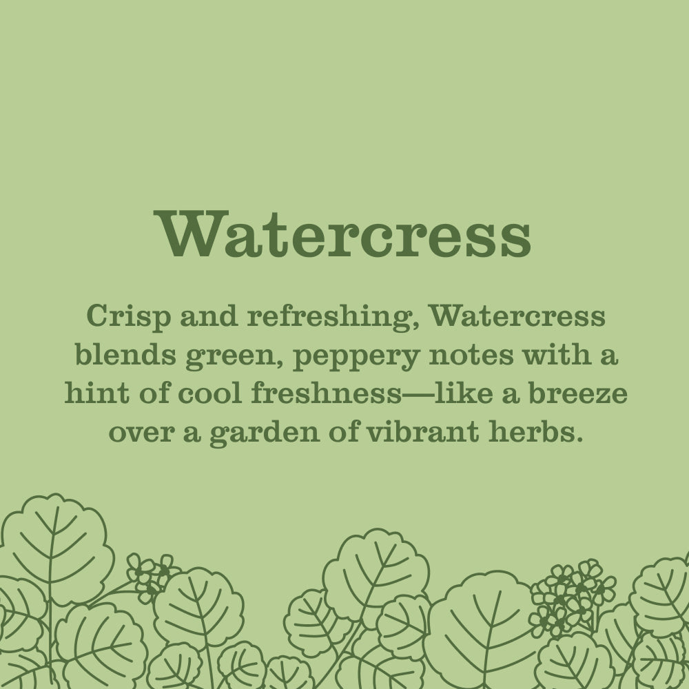 Watercress Liquid Hand Soap - Image 4