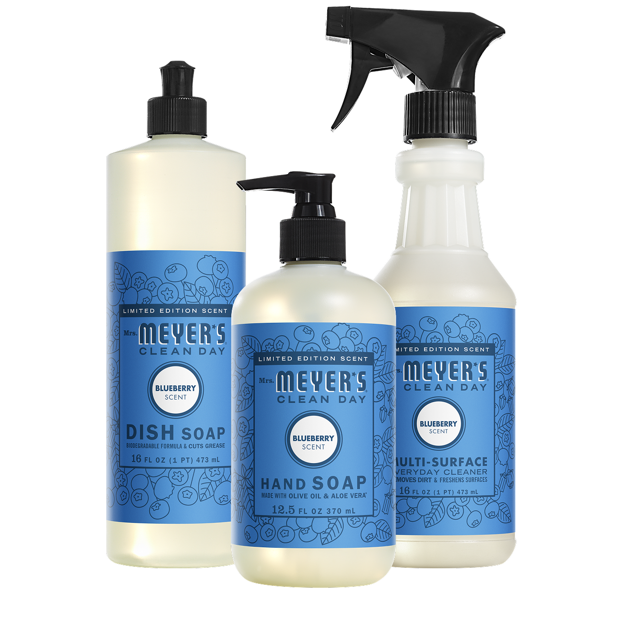 Blueberry Kitchen Basics Set - Image 2