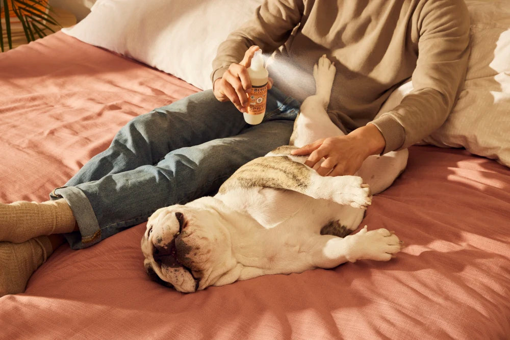 White Peach Dog Deodorizing Spritz - Image 6