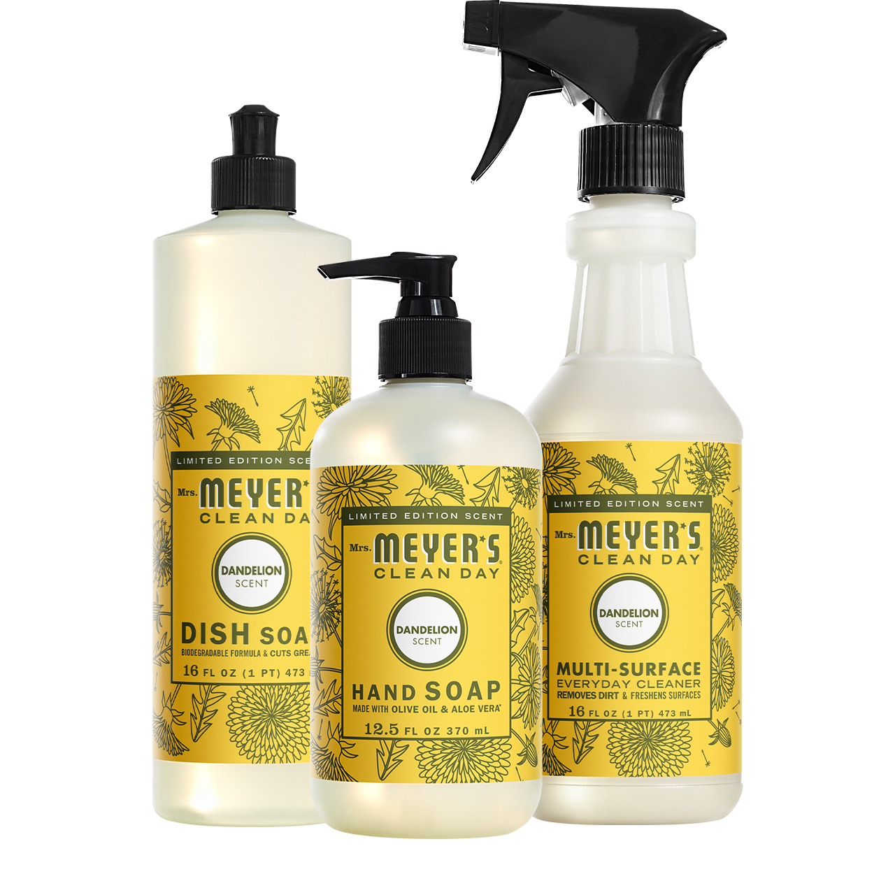 Dandelion Kitchen Basics Set