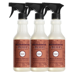 Gingerbread Multi-Surface Everyday Cleaner 3-count Bundle
