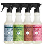 Holiday Seasonal Multi-Surface Everyday Cleaner Collection