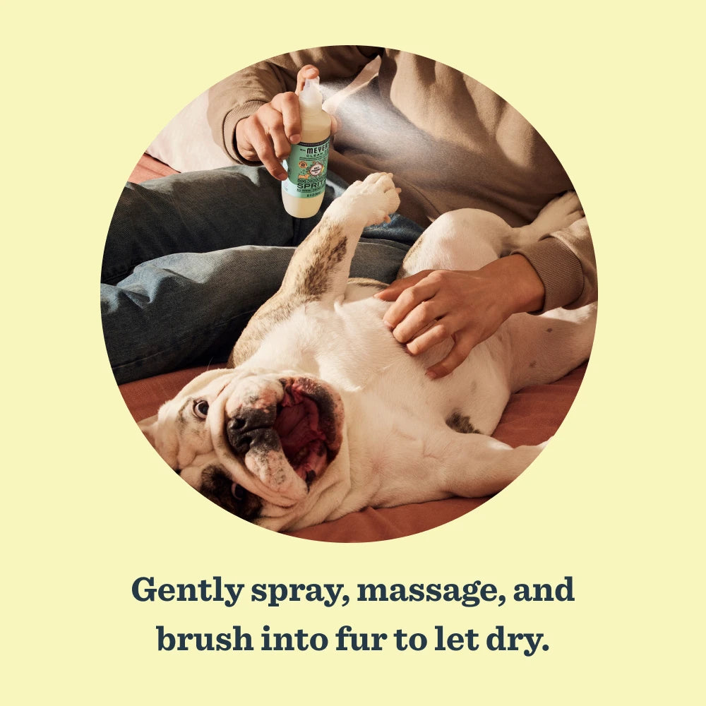 Sweet Chamomile Dog Deodorizing Spritz - Image 5