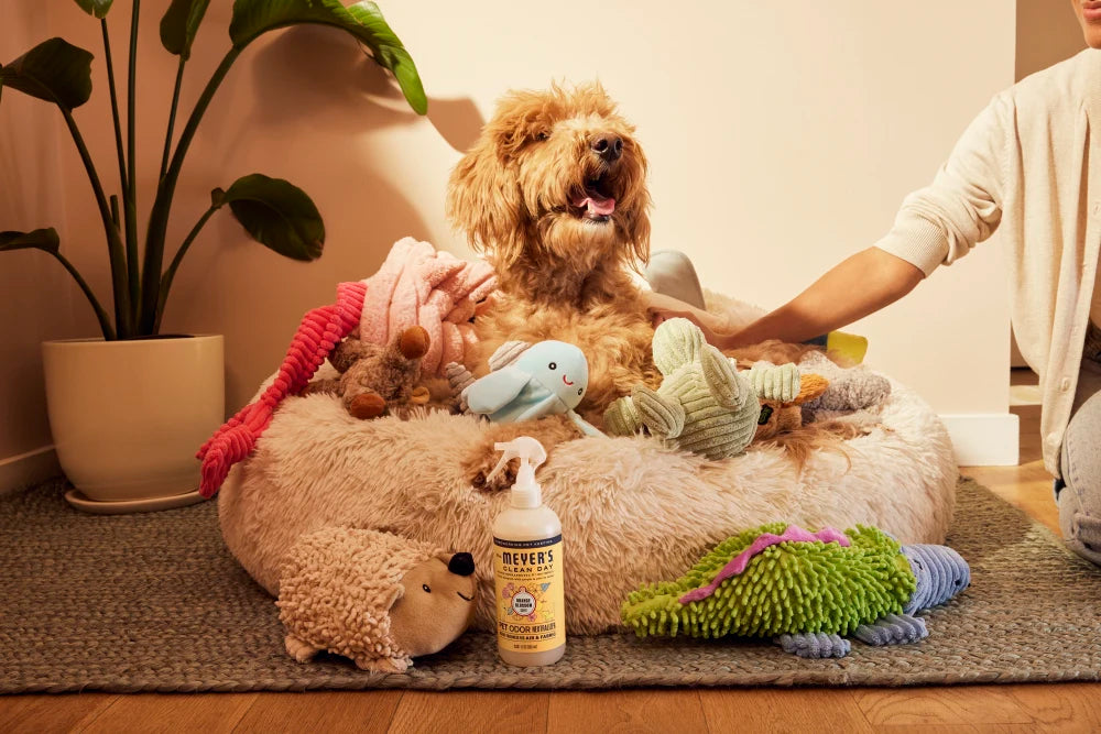 Orange Blossom Pet Odor Neutralizer - Image 6