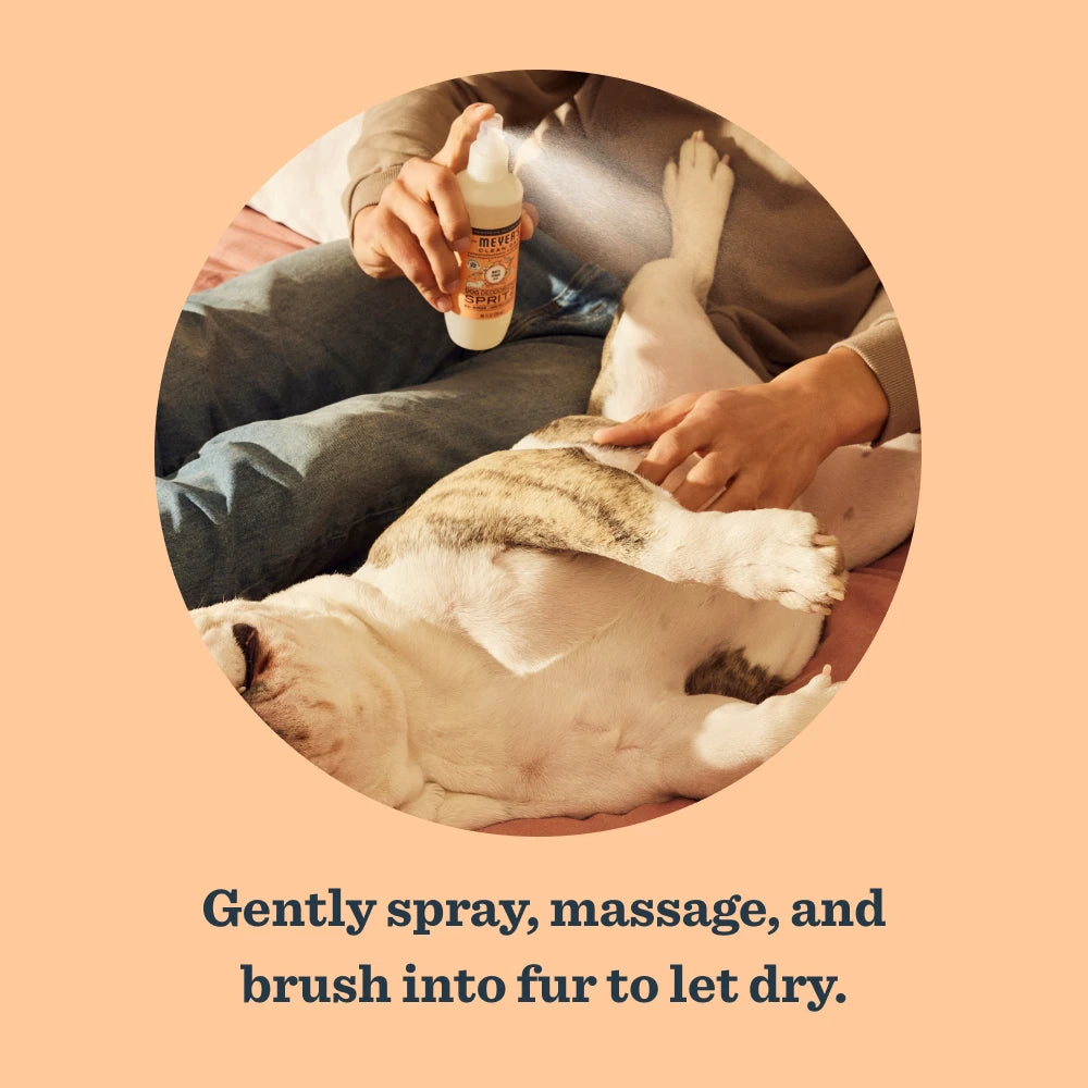 White Peach Dog Deodorizing Spritz - Image 5